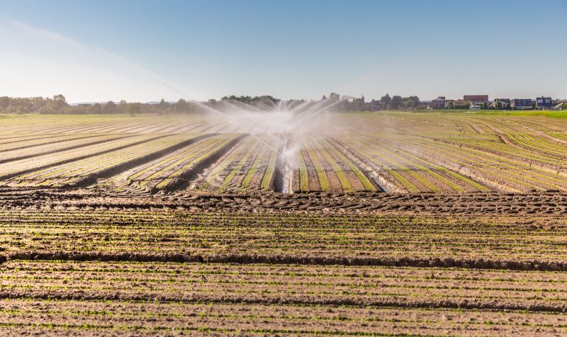 Crop Irrigation Installation in Honolulu, HI