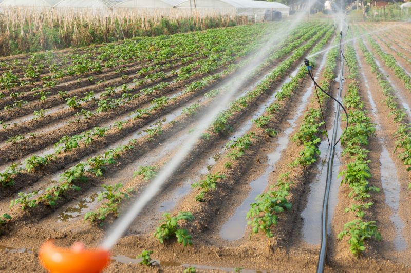 Farm Irrigation Installation in Honolulu, HI