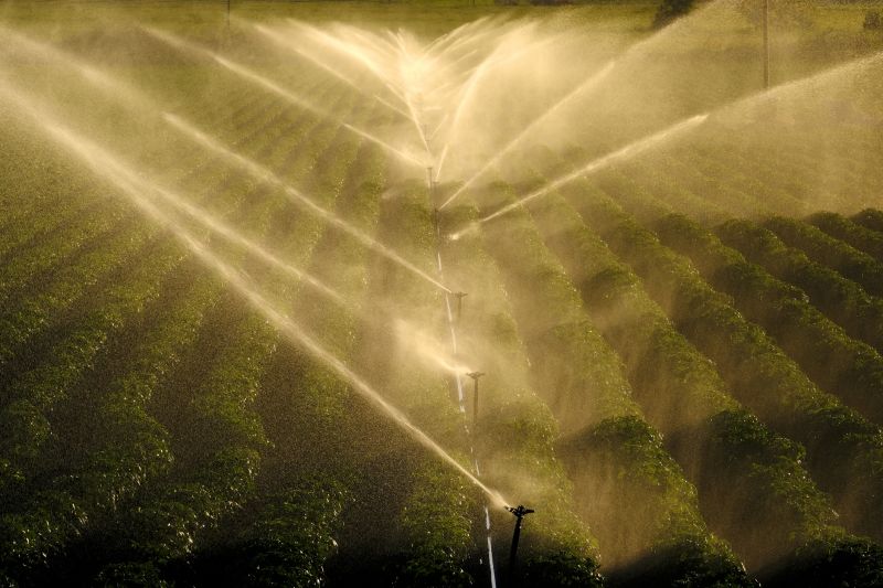 Garden Irrigation Installation