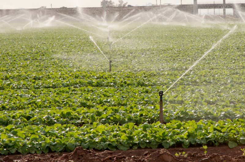 Inground Sprinkler Installation