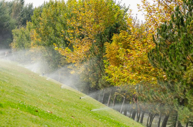 Lawn Irrigation Installation in Honolulu, HI