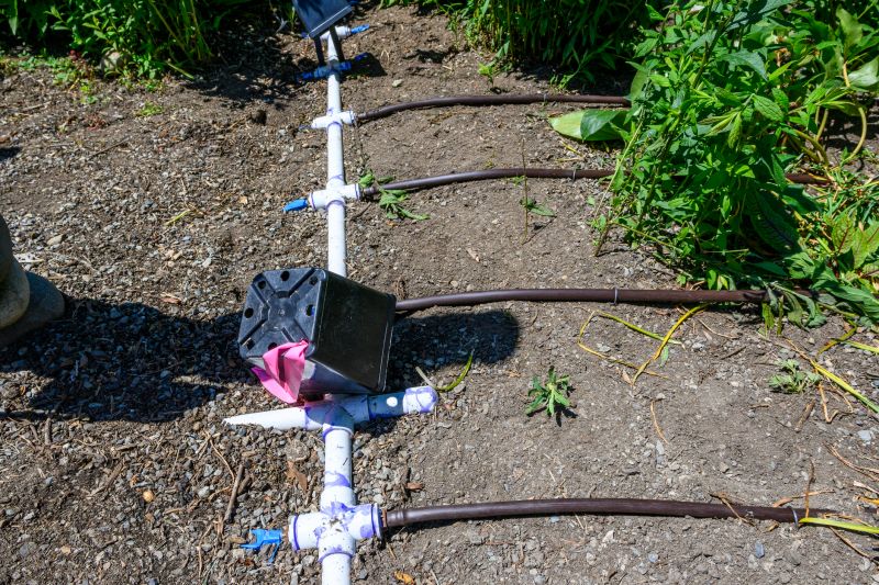 Plant Irrigation Installation in Ventura County, CA