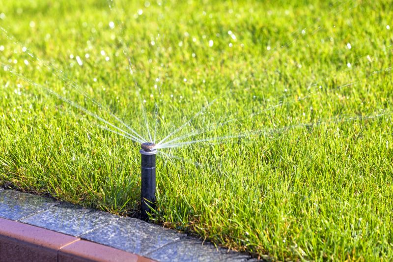Professional Sprinkler System Inspection