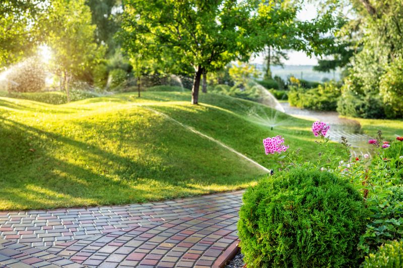 Yard Irrigation Installation